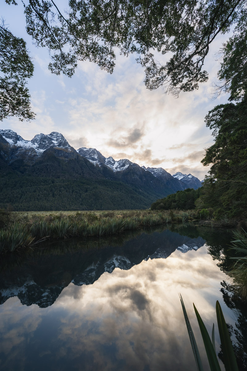 fiordland-3.jpg