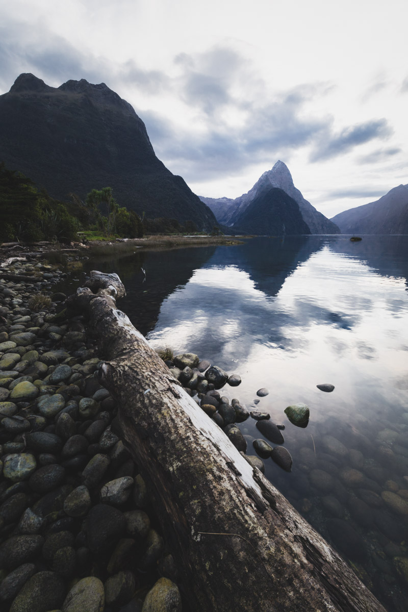 fiordland-4.jpg