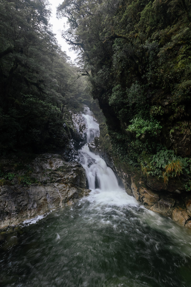 fiordland-9.jpg