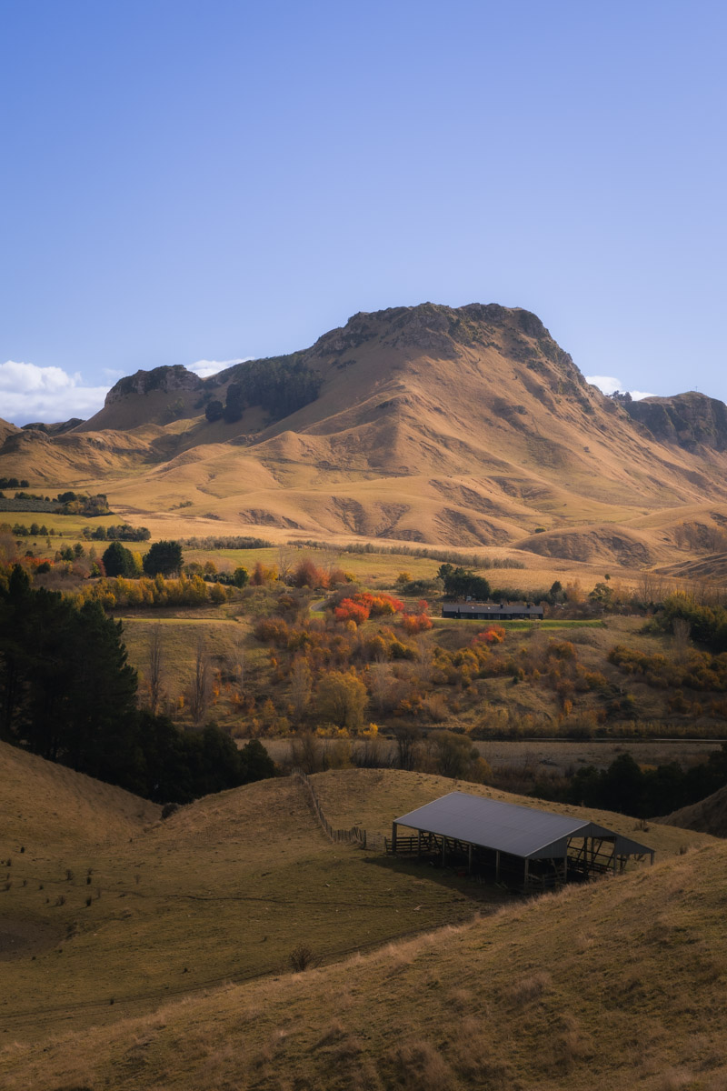 hawkes-bay-5.jpg